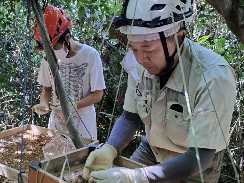 スクリーニング